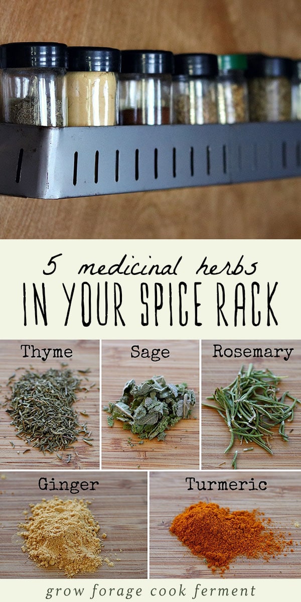 Learn about five common medicinal herbs in your spice rack. These herbs are great for your overall health, and can be found in your kitchen! #herbs #herbalism
