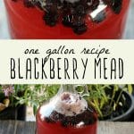 A gallon jug of blackberry mead.