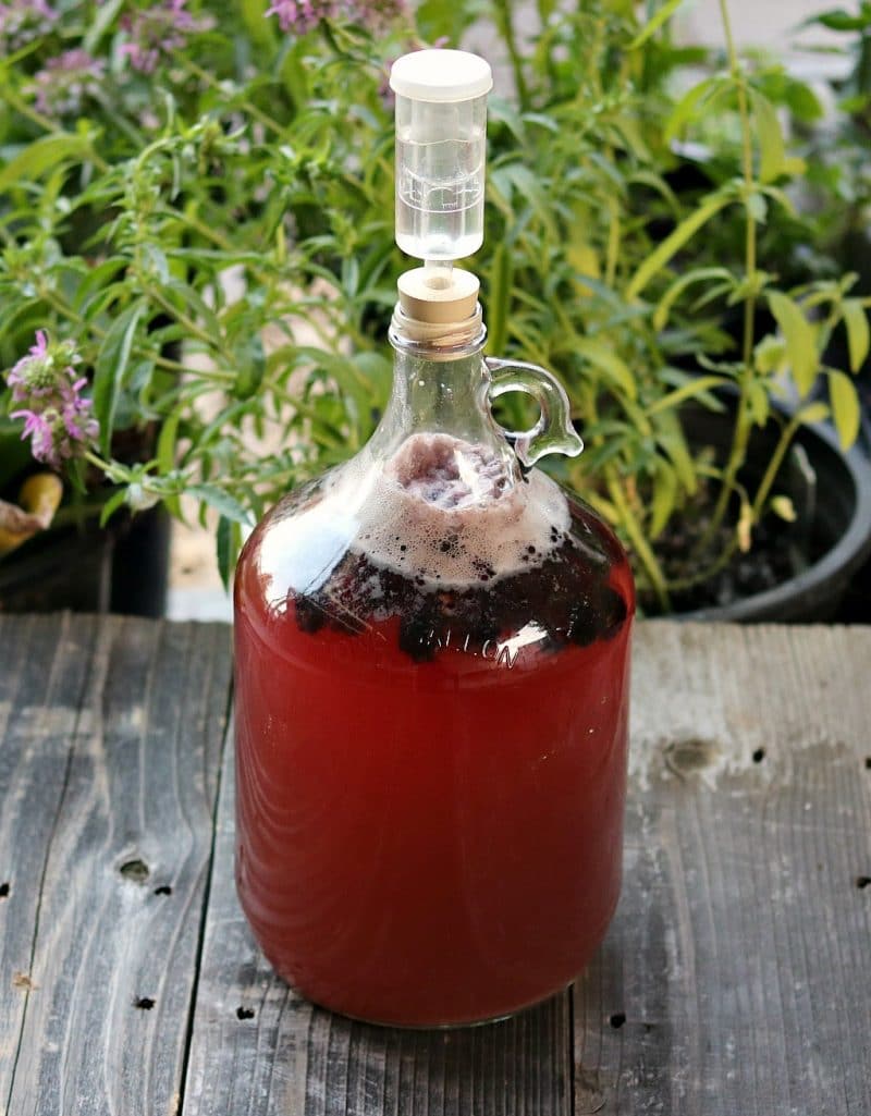 Blackberry Mead One Gallon Recipe
