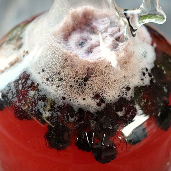 Blackberry Mead One Gallon Recipe