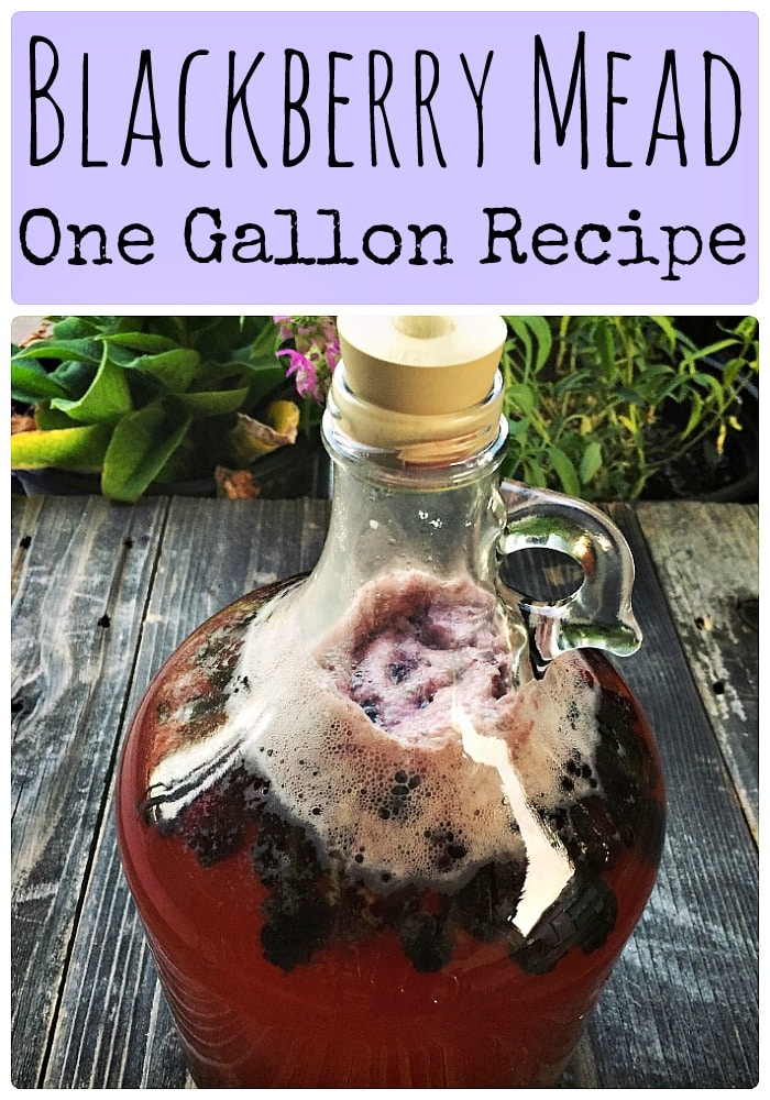 Blackberry Mead: One Gallon Recipe