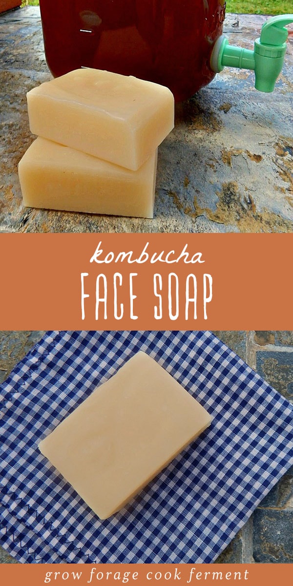 Kombucha is terrific for the skin, so it makes a great addition to homemade soap. Learn how to make this all natural, healthy kombucha face soap recipe. #soap #kombucha