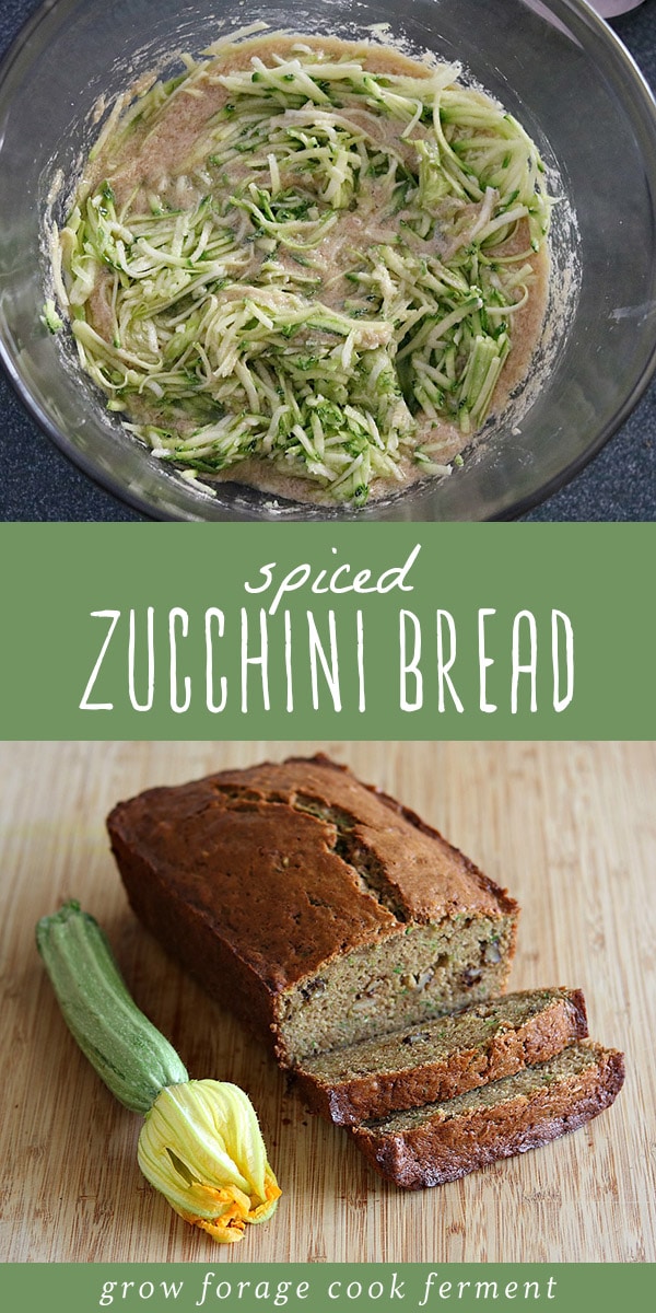 If you have a glut of garden zucchini, this is the recipe for you! Homemade zucchini bread is one my favorite recipes to make once the zucchini plants reach their peak in my summer garden! Made with fresh zucchini, lots of butter, and not too much sugar, this from scratch zucchini bread recipe is full of real, healthy foods and tastes amazing! #realfood #wholefoods #fromscratch #zucchini #bread #baking