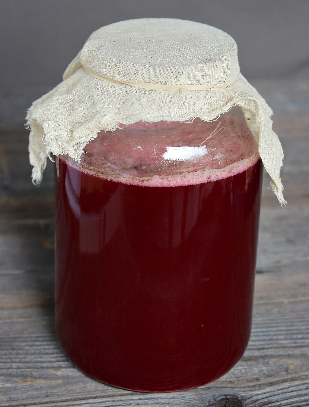 Elderberry soda fermenting in a large jar with cheesecloth on top, sitting on a gray wood surface.