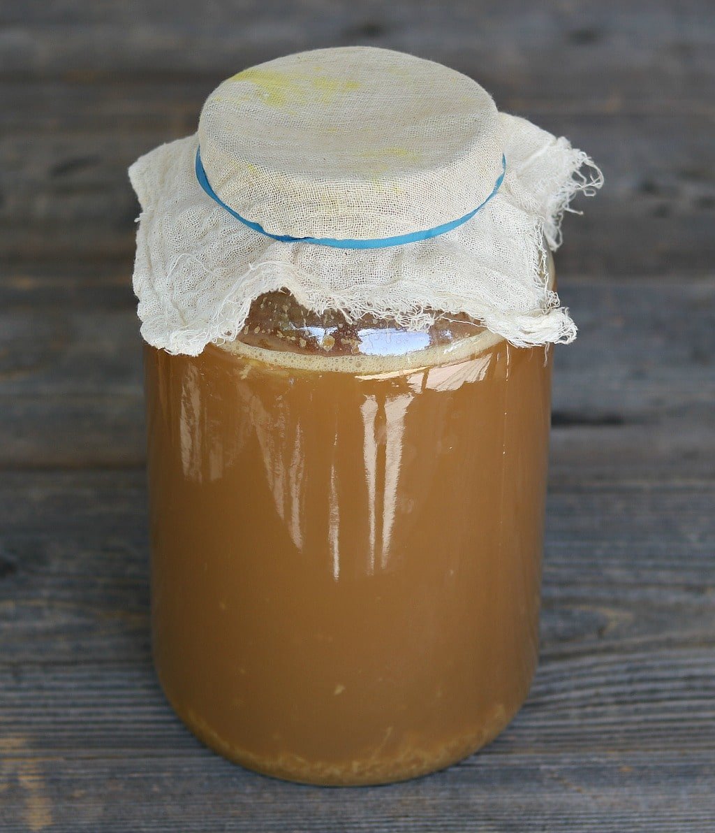 apple ginger beer fermenting in a one gallon jar with cheesecloth