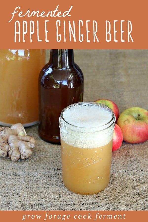 A large jug and glass of fermented apple ginger beer.