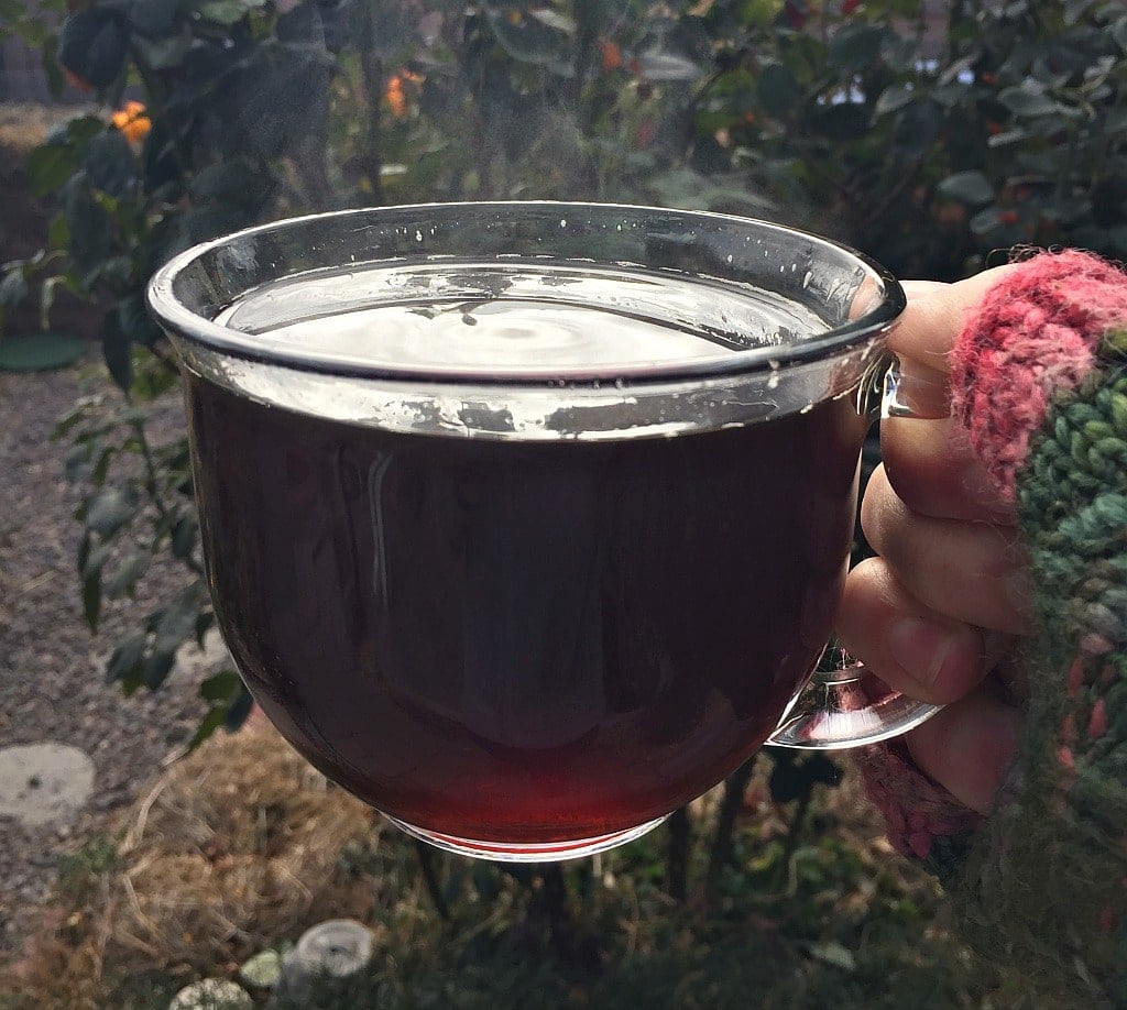 a hand holding a large mug of dandelion root coffee