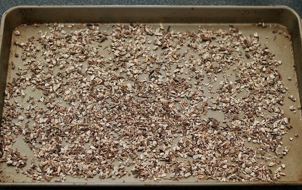 dried dandelion root pieces spread out on a baking sheet