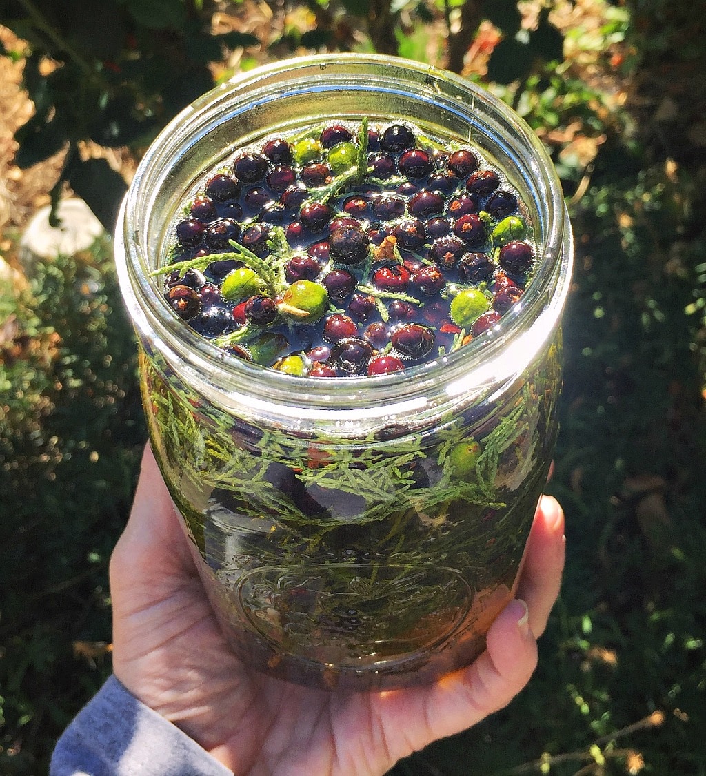 a hand holding a jar of juniper infused oil