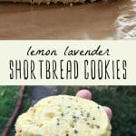 A roll of lemon lavender shortbread cookie dough, and a woman holding a batch of lemon lavender shortbread cookies.
