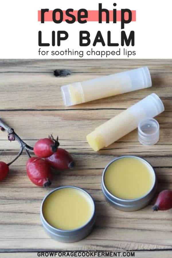 Rose Hip Lip Balm for Soothing Dry Lips