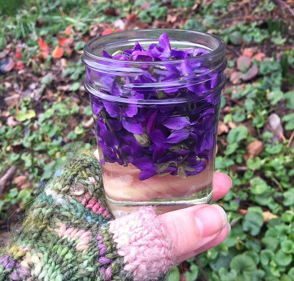 a hand with a mitten holding a jar of violet flowers and vinegar