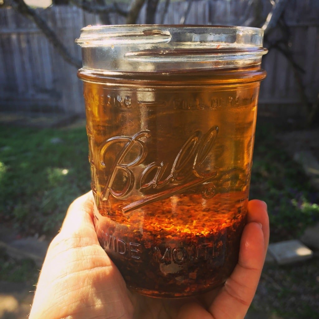 a hand holding rose hip infused oil