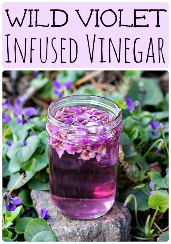 Wild Violet Flower Infused Vinegar