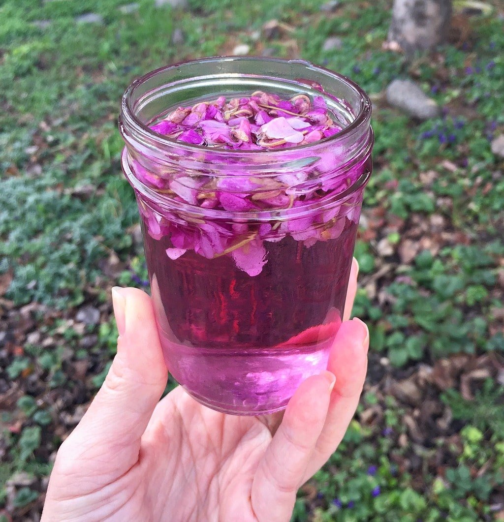 a hand holding a jar of purple violet vinegar