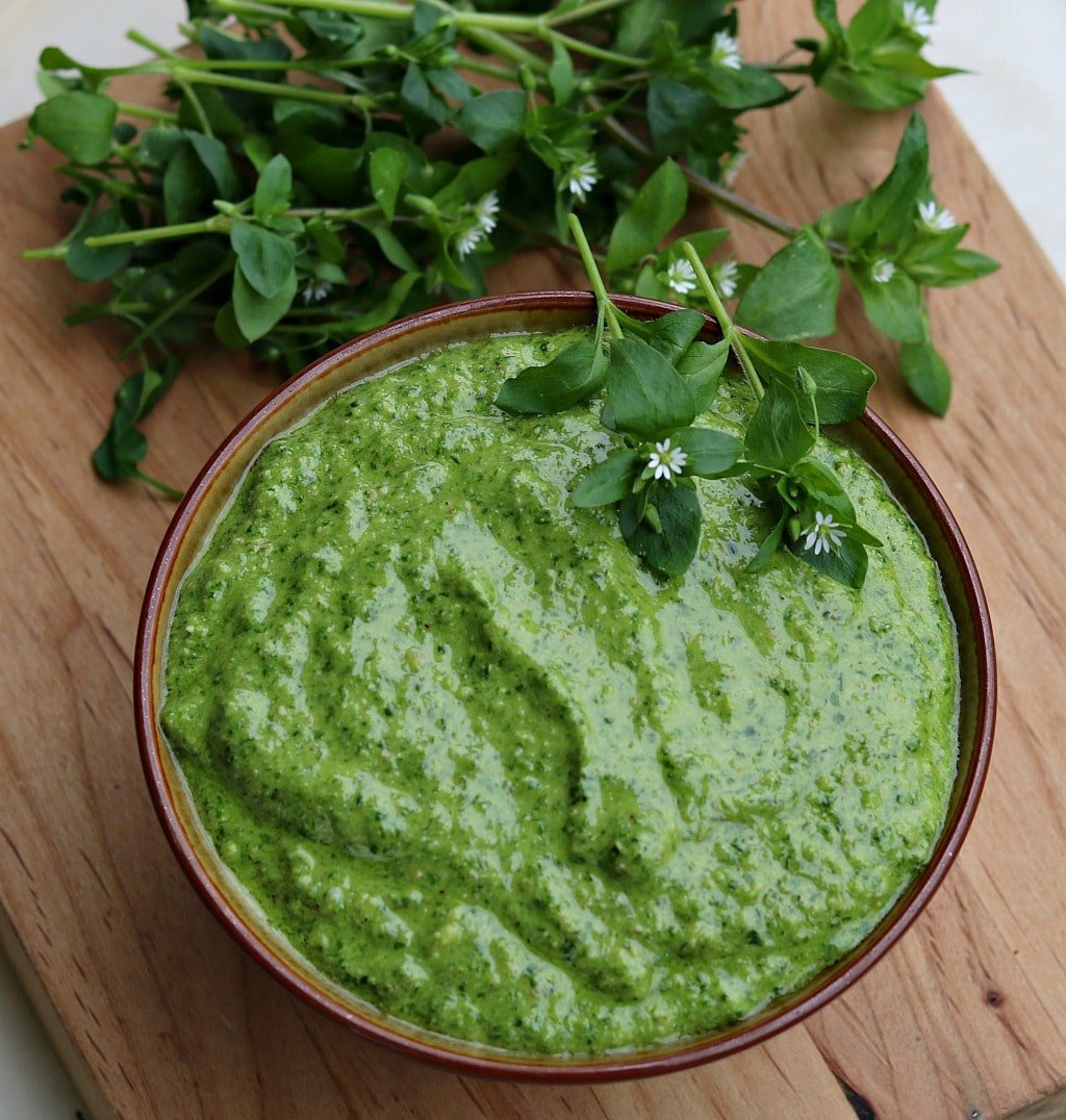 A bowl of chickweed pesto with fresh chickweed surrounding on a wood cutting board, top view. 