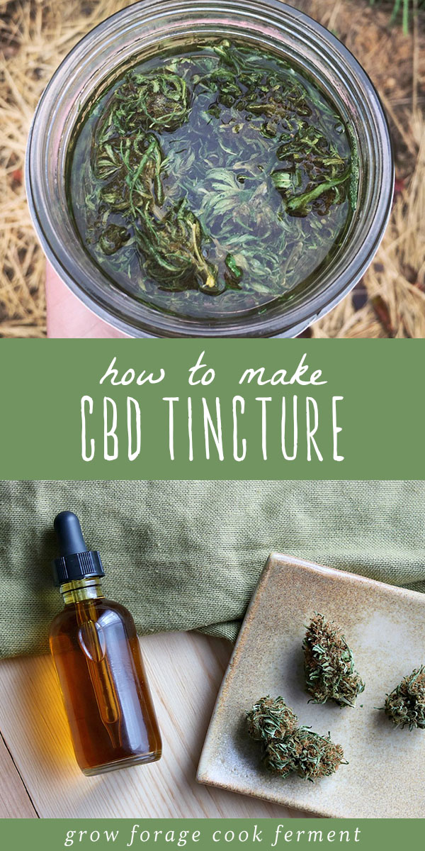 Learn how to make your own homemade cannabis CBD tincture. This cannabis tincture is highly medicinal and has many uses and benefits for pain management, arthritis, and other at home medicinal uses. CBD tincture is a straight forward and easy natural medicine recipe, and the perfect project for a beginner herbalist. Click through for this CBD tincture recipe and learn about all of its uses and benefits. #herbalism #cbd #tincture #herbalmedicine #naturalrememdy #cbdoil #cannabis