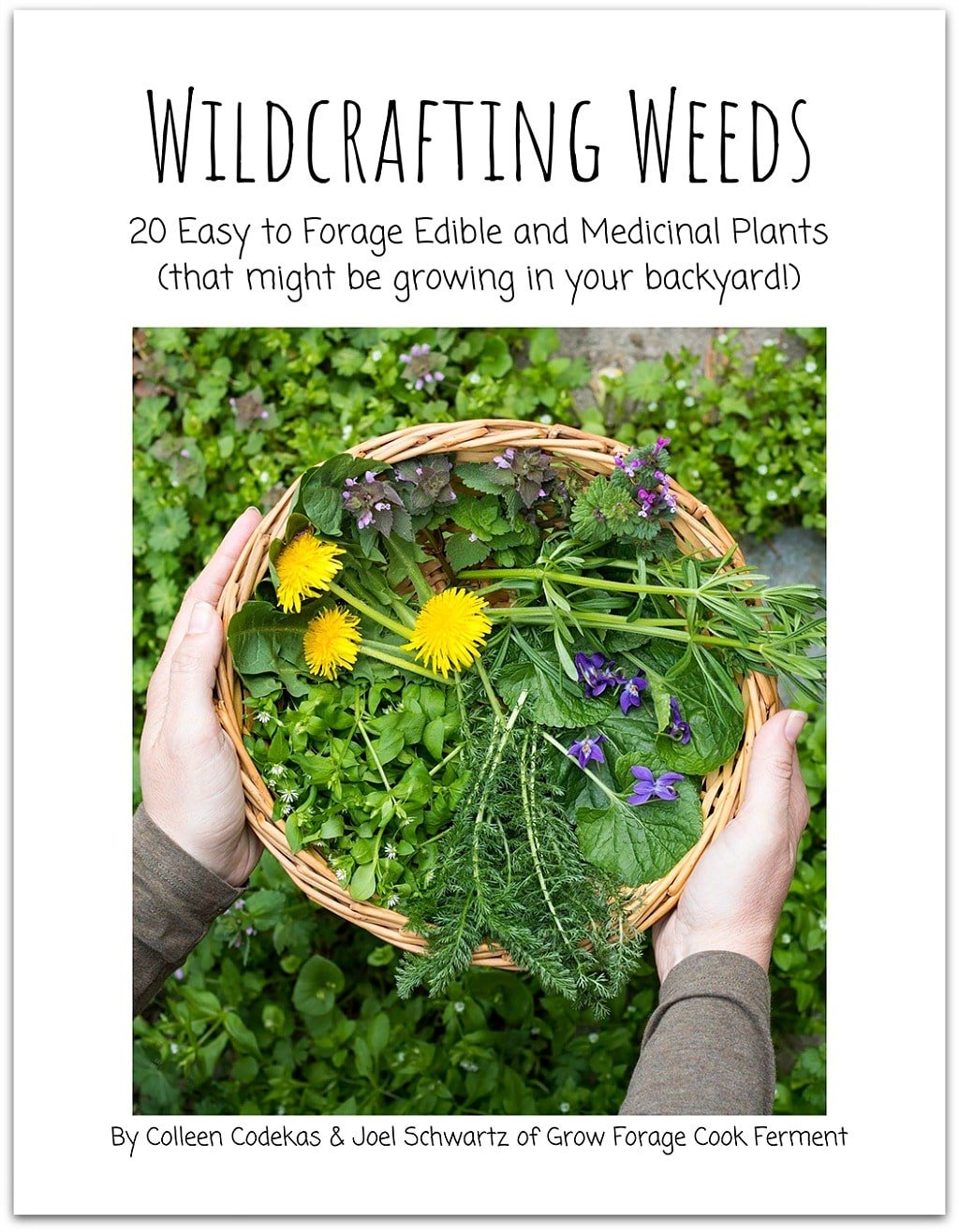 Wildcrafting Weeds eBook