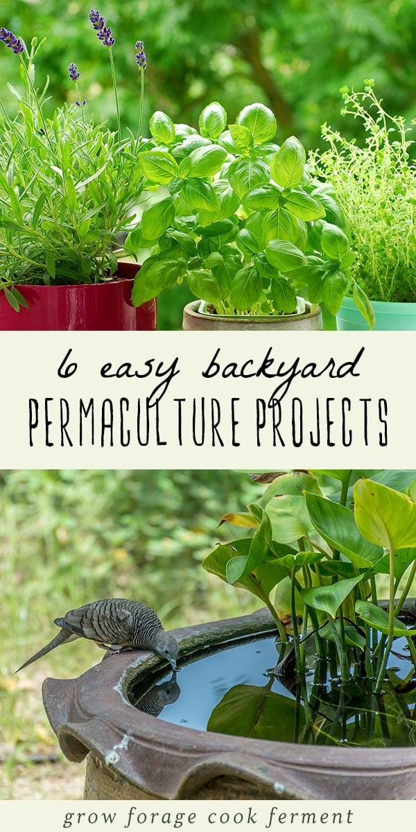 These six easy backyard permaculture projects for beginners will get you on your way to a mini permaculture paradise! #permaculture #gardening