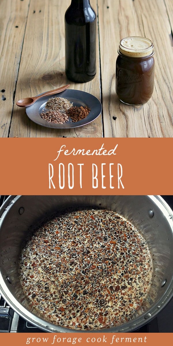 Learn how to make delicious homemade fermented root beer. Made with real roots and herb and a ginger bug for fermentation! #fermented #rootbeer #homemadesoda