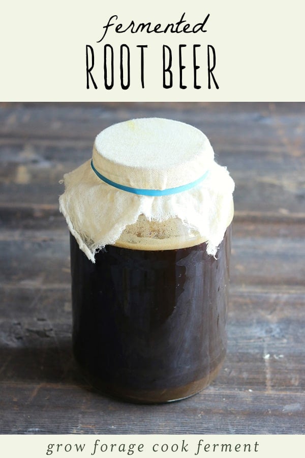 A glass jar filled with traditionally fermented root beer. 