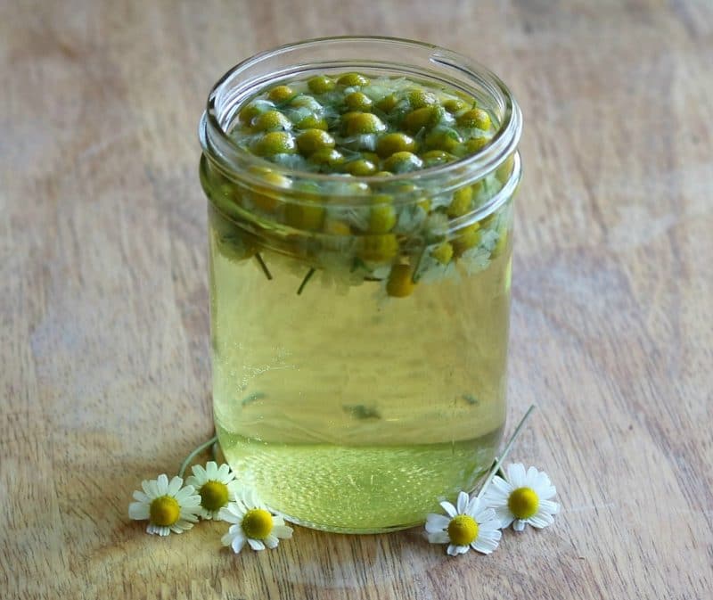 chamomile tea brewed in a jar on a wooden background