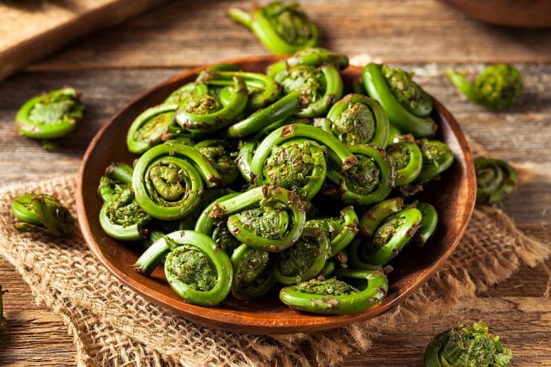 fiddlehead ferns in a bowl