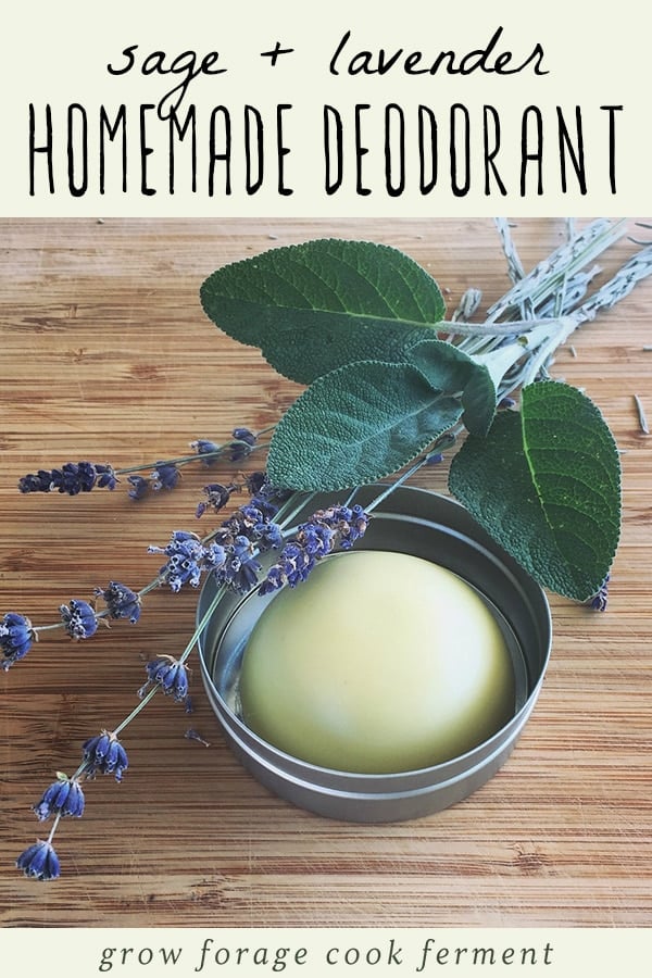 A tin of homemade deodorant with fresh sage and lavender.