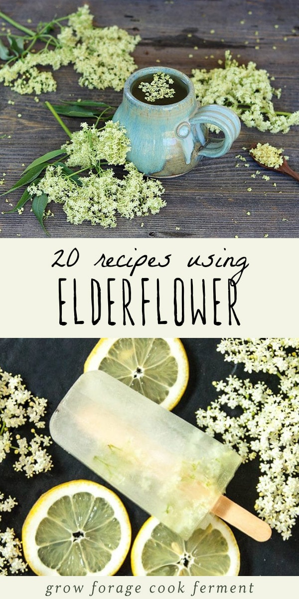 When elderflowers are in season make these great elderflower recipes! Includes recipes for elderflower cordial, liqueur, tea, jelly, cake, and more! #elderflower #elderflowerrecipes #elderflowercordial #elderflowerliqueur #elderflowertea #elderflowersyrup #elderflowersoda #elderflowercake #elderflowerjelly