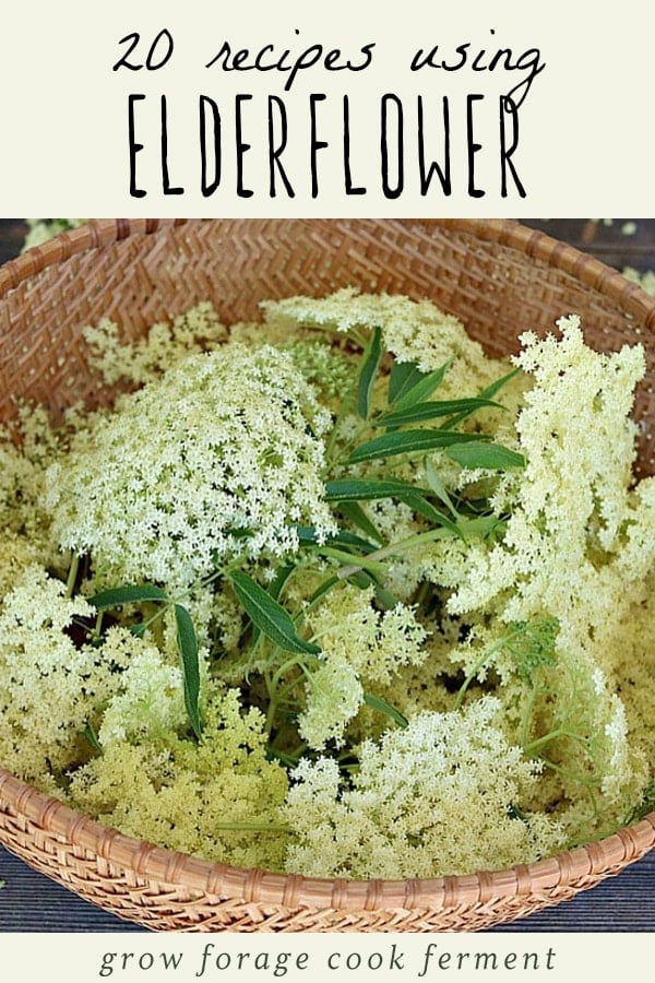 A basket of freshly foraged elderflower