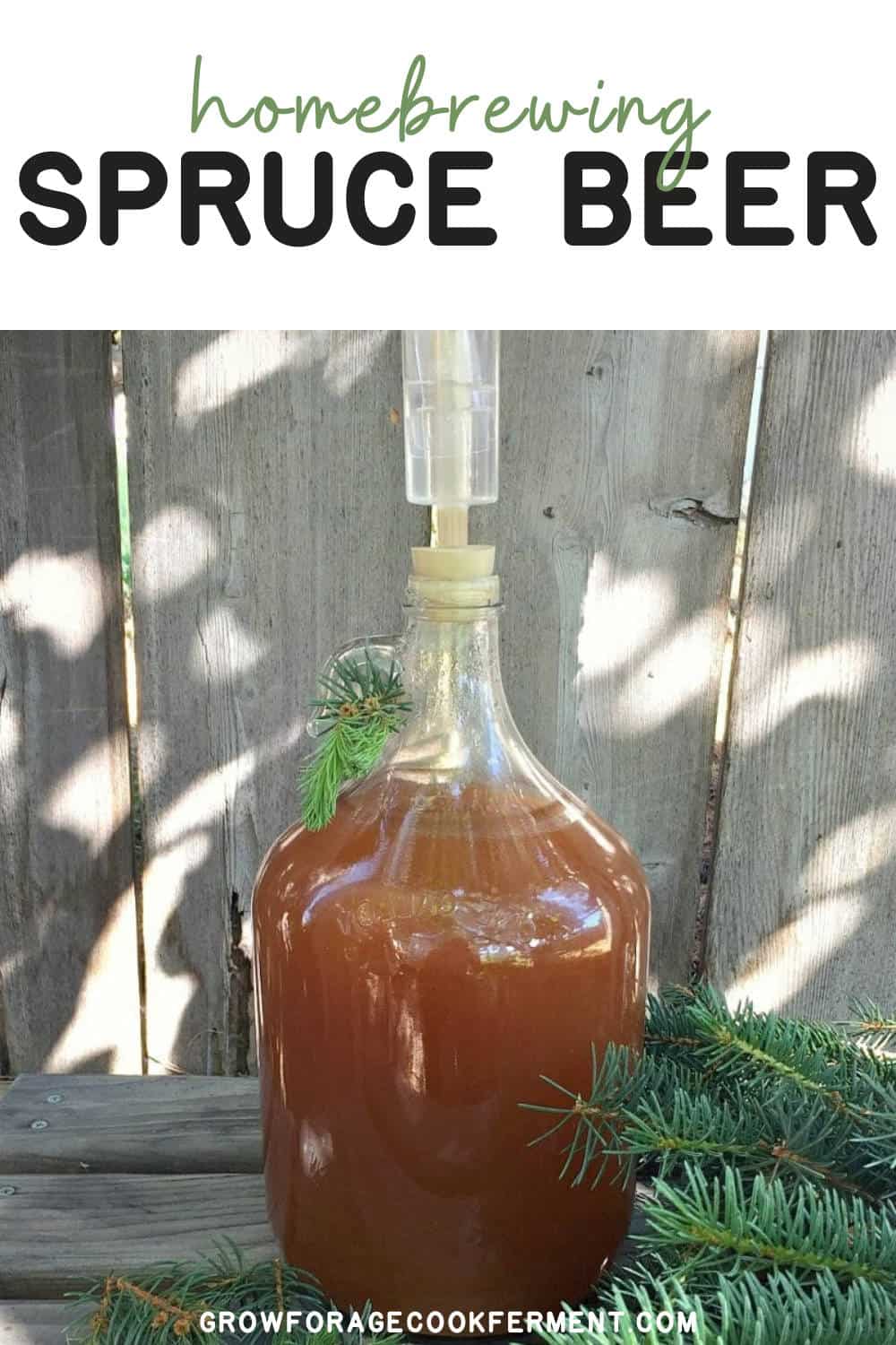 Spruce Beer Homebrew Recipe (made with spruce tips)