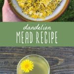 A bowl of dried dandelion flowers, and a glass of dandelion mead on a wood table.