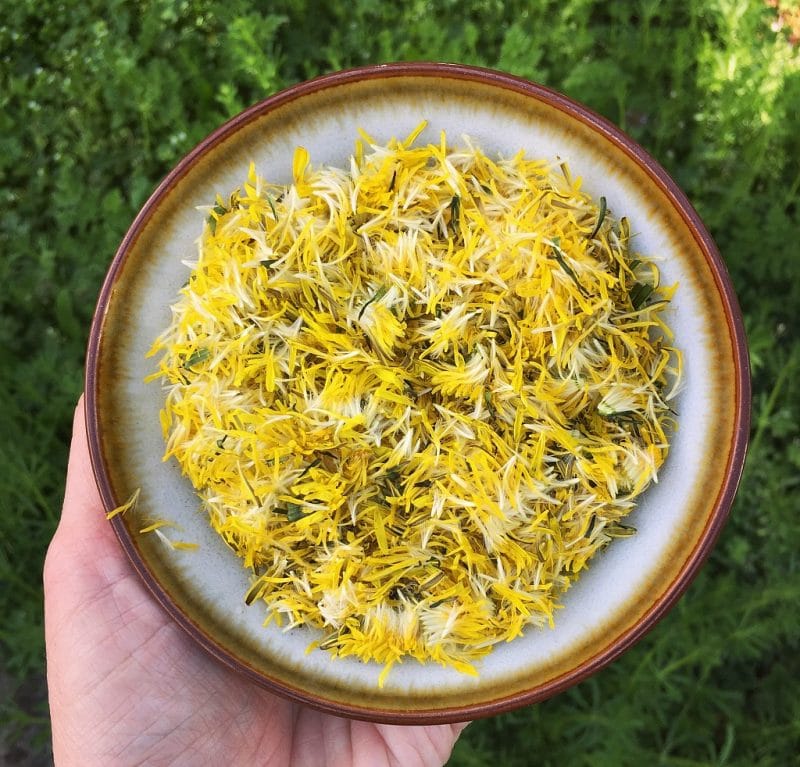 a hand holding a small bowl of yellow dandelion petals