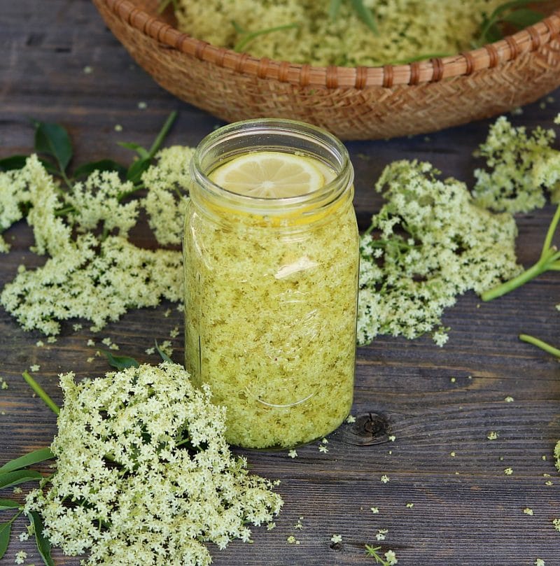 a quart jar of elderflower liqueur steeping