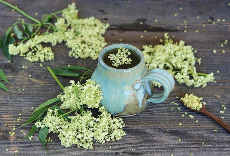 a mug full of elderflower tea