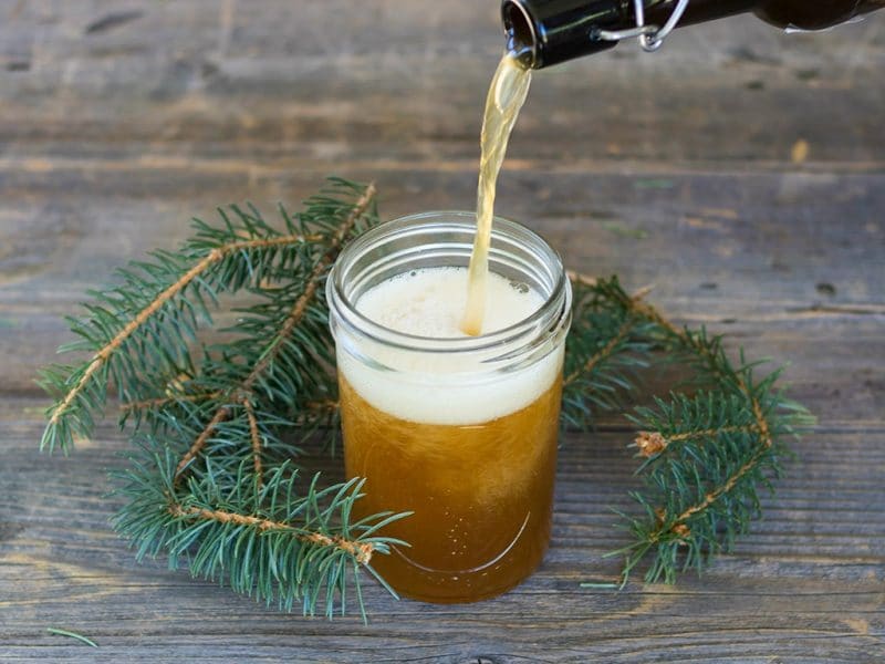 pouring bubbly spruce beer into a glass