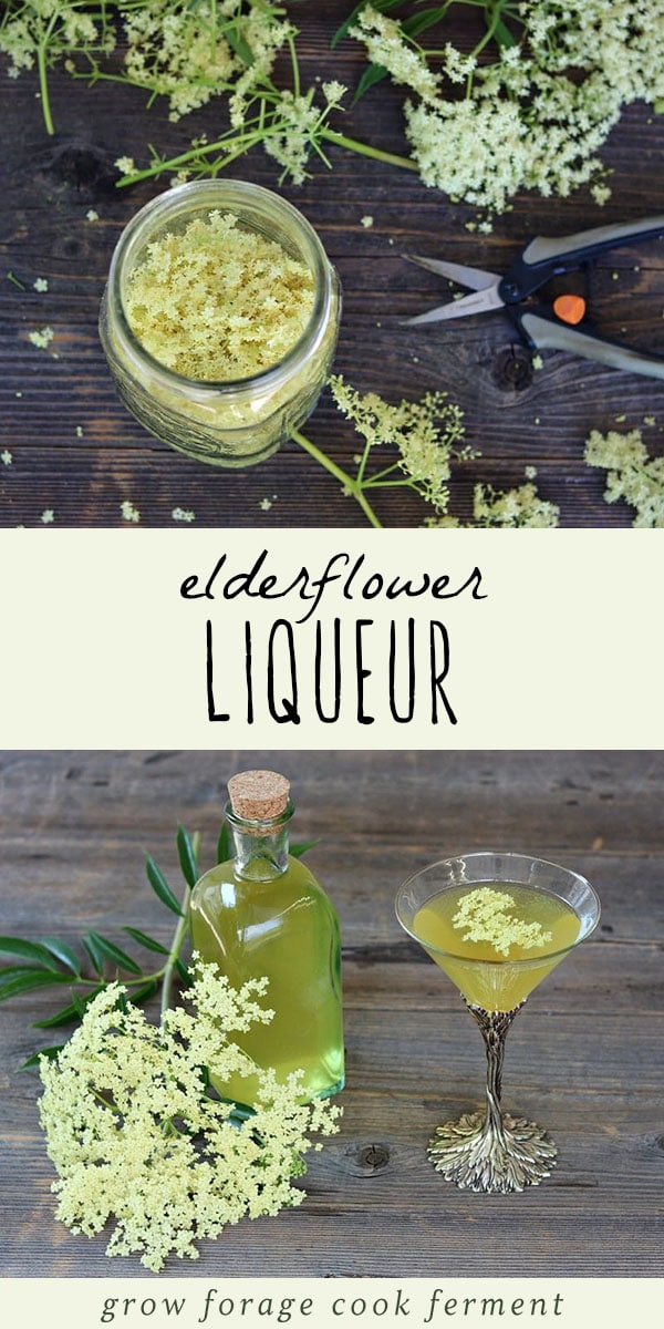 When fresh elderflowers are in season make this homemade elderflower liqueur (also known as St. Germain). It's perfect for summertime elderflower cocktails! #foraging #cocktail