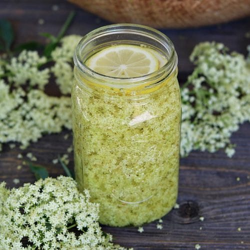 Homemade Elderflower Liqueur