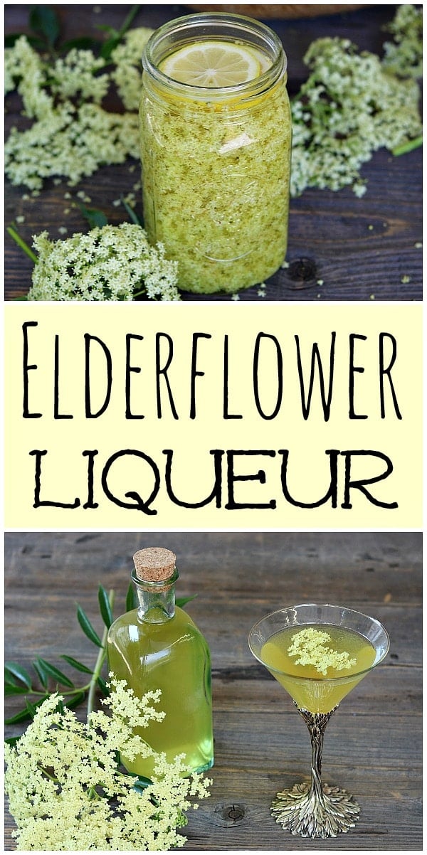 When fresh elderflowers are in season make this homemade elderflower liqueur (also known as St. Germain). It's perfect for summertime elderflower cocktails! #elderflower #liqueur #elderflowerliqueur #elderflowercocktail #elderflowerdrink #stgermain #stgermainrecipe