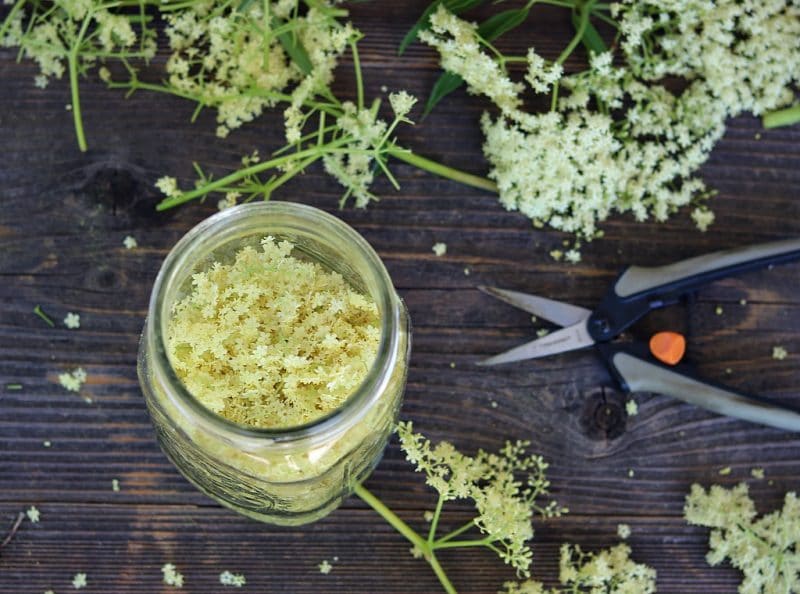 a table with a jar of elderflowers and pruners