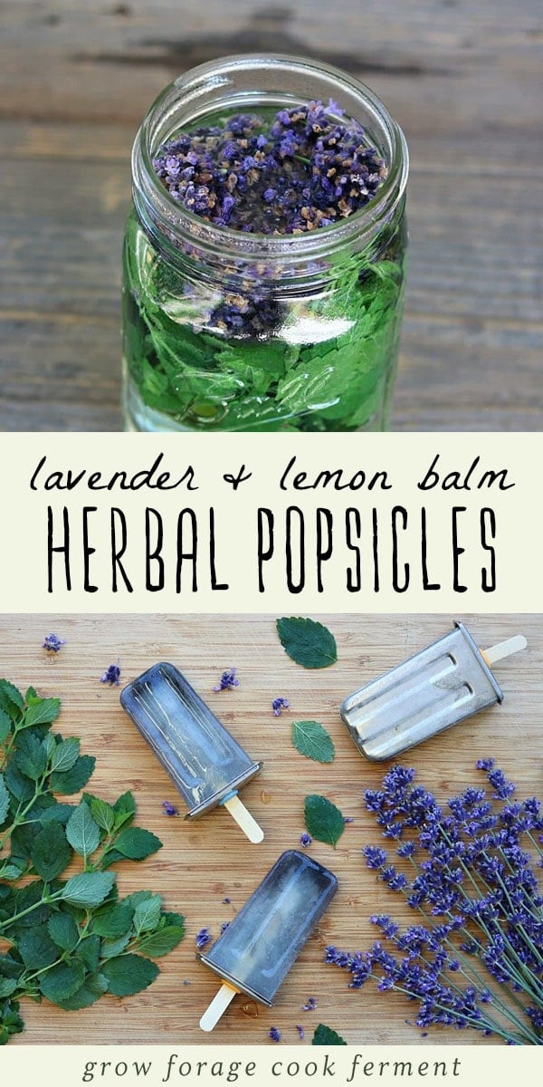 These lavender and lemon balm herbal popsicles are a delicious and refreshing way to get the benefit of herbs in the heat of the summer! #lavender #popsicles