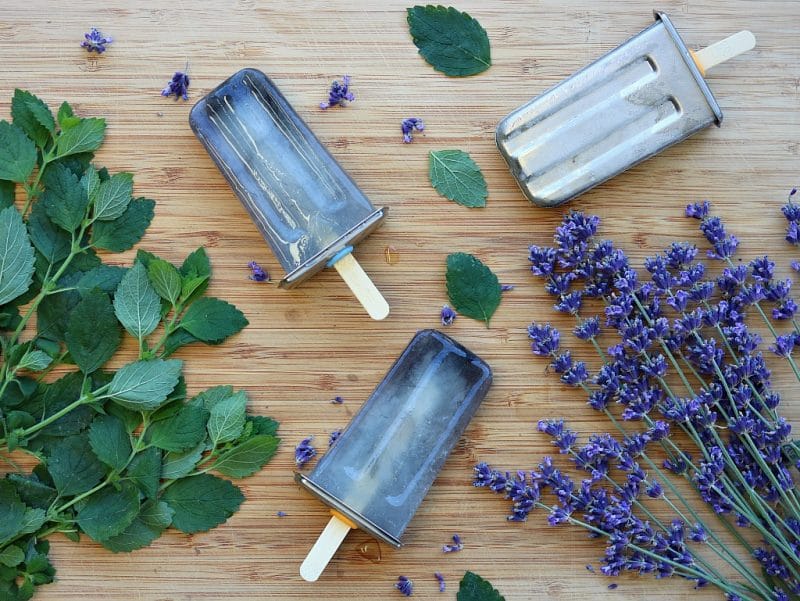 lemon balm and lavender popsicles