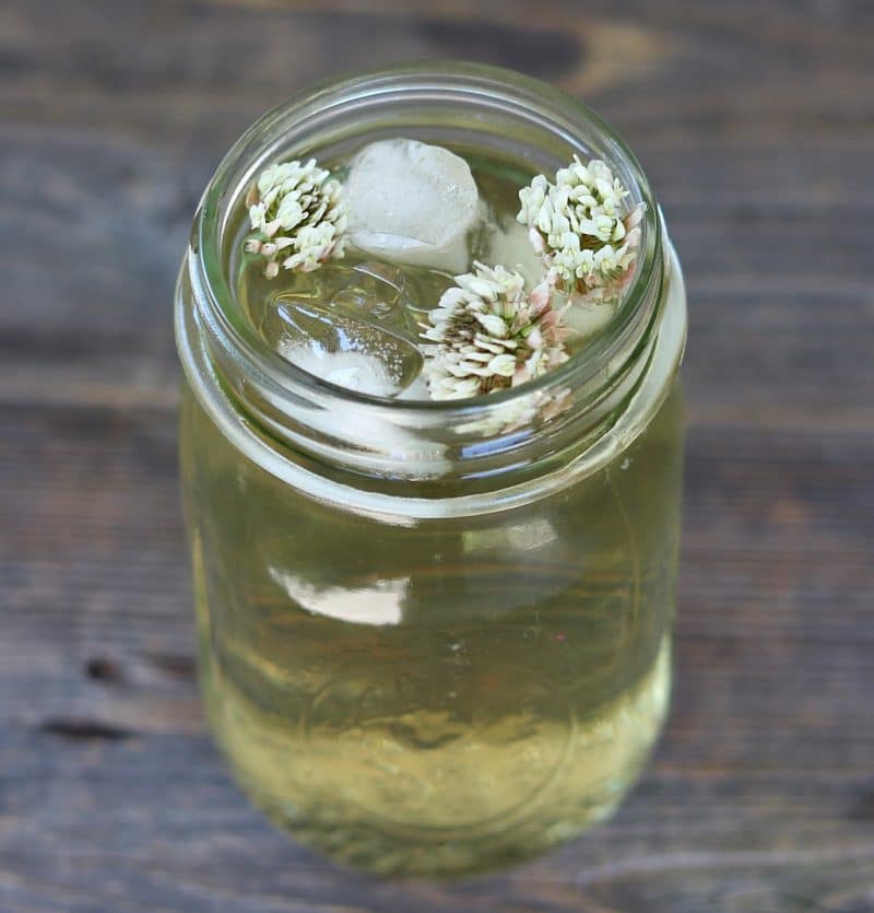 a glass of white clover iced tea garnished with fresh white clover blossoms