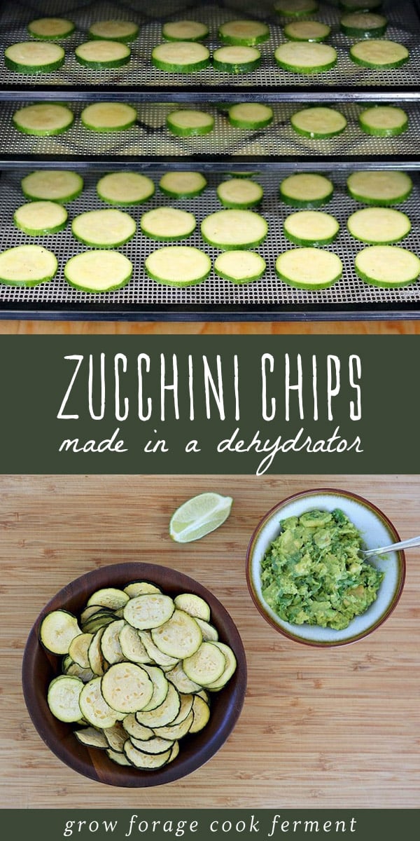 Make these homemade zucchini chips in a dehydrator during the harvest season. They are easy to make, healthy, and delicious alternative to regular chips! #zucchini #zucchinichips #zucchinirecipe #dehydrator #dehydratorrecipe #vegetablechips