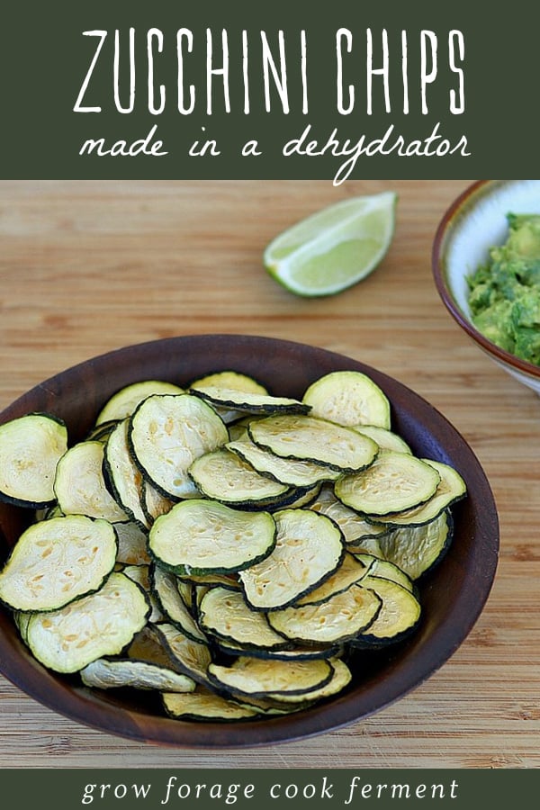 Make these homemade zucchini chips in a dehydrator during the harvest season. They are easy to make, healthy, and delicious alternative to regular chips! They also happen to be low carb, vegan, paleo, and Whole 30 friendly! Dehydrator zucchini chips in a bowl with a side of guacamole.