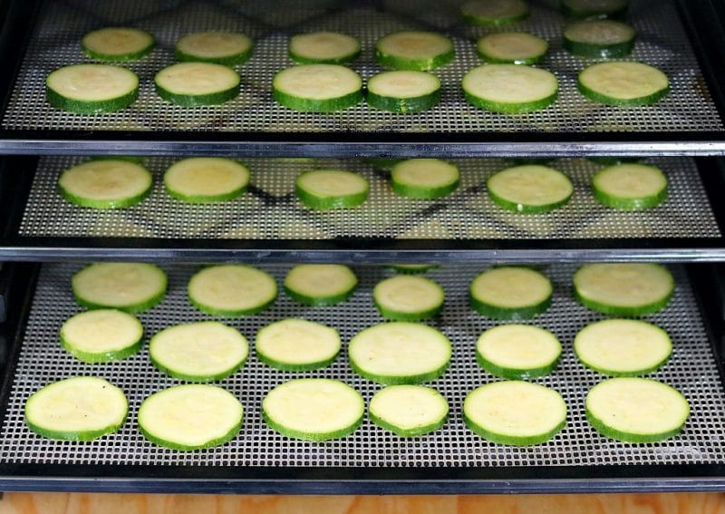 sliced zuccini rounds on dehydrator trays