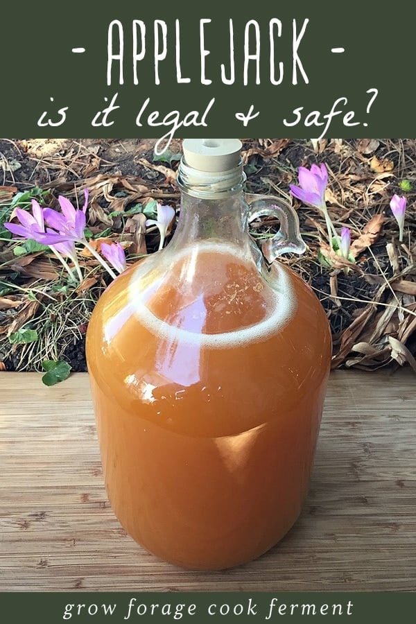 A one gallon jug of fermenting apple cider