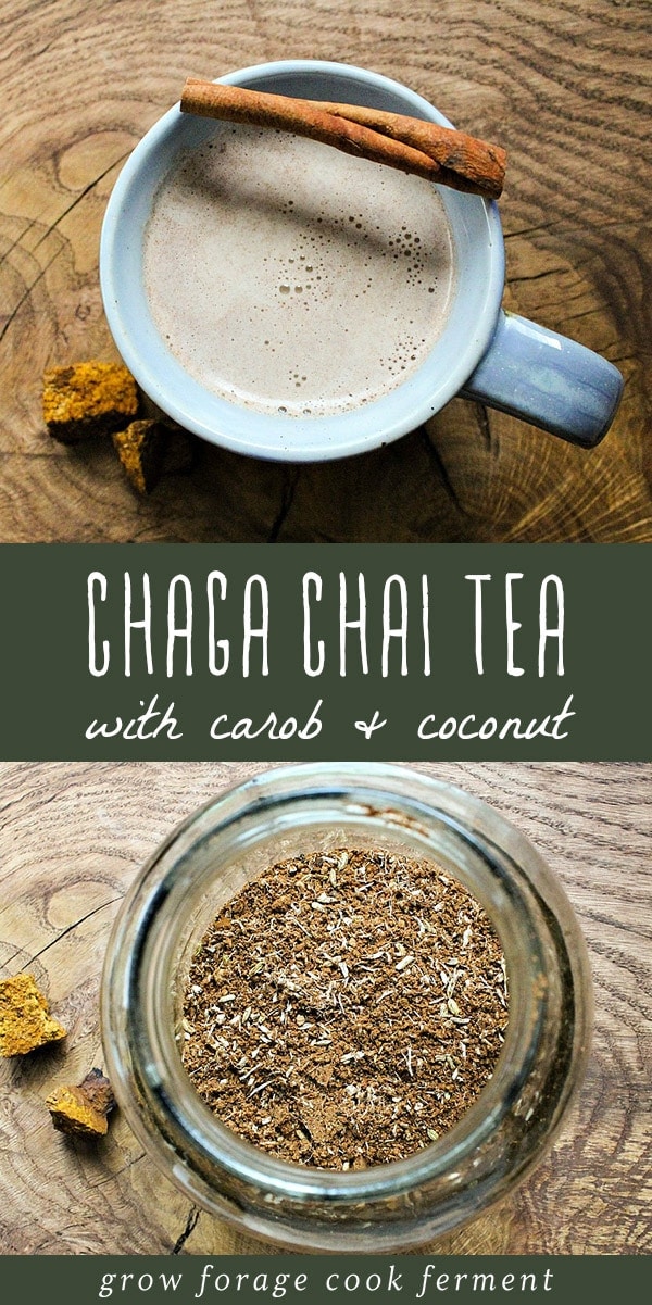 The chaga mushroom has a variety of health and medicinal benefits, but the easiest at home use is as a gut healing and anti-inflammatory remedy. Enjoy this potent health benefit as well as a flavorful treat with this chaga chai tea recipe with carob and coconut. This is an easy and straightforward recipe for beginner home herbalists to master, and it tastes delicious! #chaga #chai #tea #guthealth #herbalism #naturalremedy #herbalmedicine