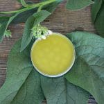 A tin of comfrey salve surrounded by comfrey leaves and flowers, on a wood background.