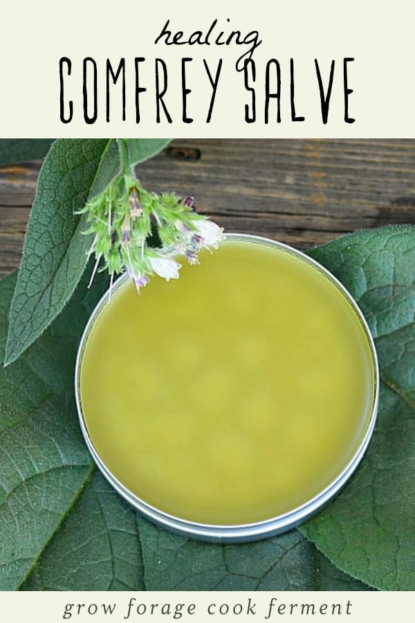 A tin of healing comfrey salve surrounded by comfrey leaves and flowers.